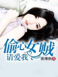 偷心女贼请爱我