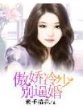 傲娇冷少别逼婚