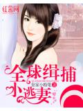 全球缉捕小逃妻