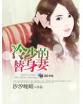 冷少的替身妻