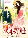 前妻不好追