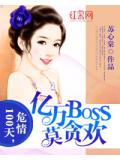 危情100天，亿万BOSS莫贪欢