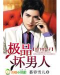 名门贵公子：极品坏男人