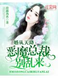 婚从天降：恶魔总裁别乱来