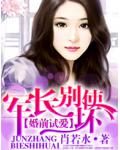 婚前试爱&middot;军长别使坏