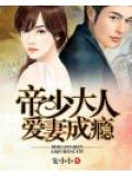 帝少大人爱妻成瘾