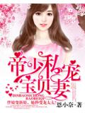 帝少私宠宝贝妻