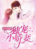 帝少追缉:独宠小娇妻