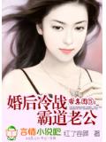 帝集团:婚后冷战霸道老公