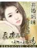 弃婚妈咪:天才儿子小小妈
