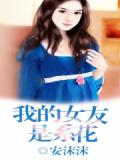 我的女友是系花