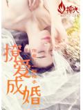 撩爱成婚