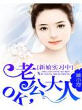 新娘实习中:ok,老公大人