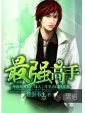 最强高手