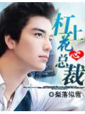 杠上花心总裁