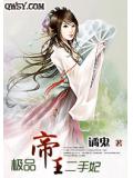 极品帝王二手妃