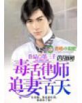 毒舌律师，追妻一百天