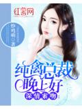 深情索吻：纯禽总裁晚上好