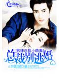 男神总裁小萌妻：总裁别逃婚