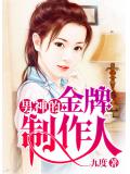 男神的金牌制作人