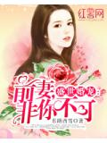 盛世婚宠：前妻，非你不可