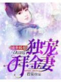 盛世暖婚：独宠拜金妻