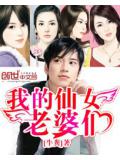 我的仙女老婆们