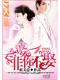 老婆,非你不娶