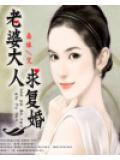 老婆大人求复婚