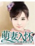 萌妻入怀