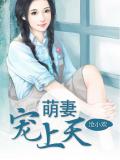 萌妻宠上天