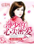 薄少的心尖密爱