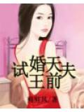 试婚天王前夫
