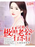 试婚：极品老公行不行