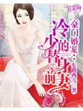 豪门婚宠：冷少的替身前妻