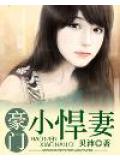 豪门小悍妻