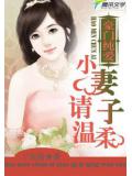 豪门纯爱:小妻子请温柔