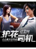 护花司机