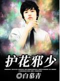 护花邪少