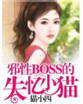 邪性BOSS的失忆小猫