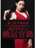 搞定市长夫人：桃运官路