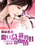 银面逃妻：撒旦总裁的双面娇娃