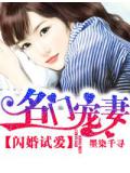 闪婚试爱.名门宠妻
