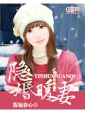 隐婚暖妻