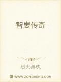智叟传奇