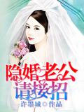 隐婚老公请接招