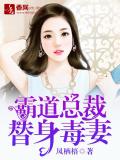 霸道总裁替身毒妻