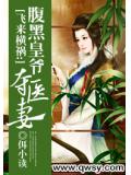 飞来横祸：腹黑皇爷夺医妻