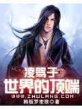 凌驾于世界的顶端