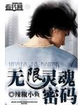 无限灵魂密码